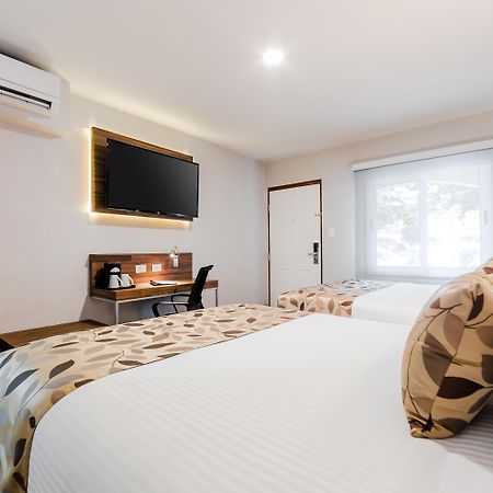 Sleep Inn Monterrey Norte San Nicolás de los Garzas Zewnętrze zdjęcie